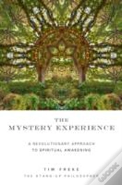 Capa do artigo The Mystery Experience