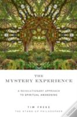 Capa do artigo The Mystery Experience