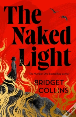 Capa do artigo The Naked Light