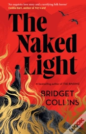 Capa do artigo The Naked Light
