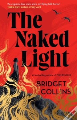 Capa do artigo The Naked Light