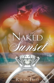Capa do artigo The Naked Sunset
