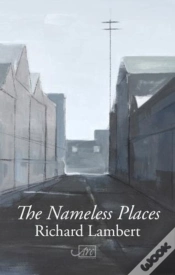 Capa do artigo The Nameless Places