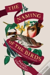 Capa do artigo The Naming Of The Birds