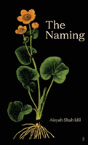 The Naming - Preview