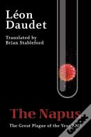 The Napus