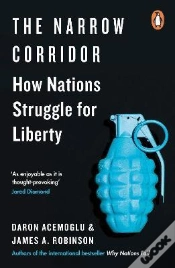 Capa do artigo The Narrow Corridor