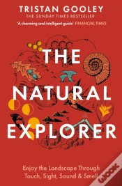 Capa do artigo The Natural Explorer