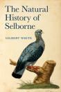 The Natural History Of Selborne - Preview