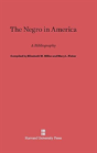 The Negro In America - Preview