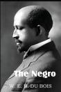 The Negro - Preview