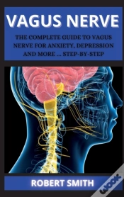 Capa do artigo The Nerve