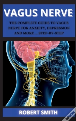 Capa do artigo The Nerve