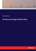 The Nests And Eggs Of British Birds