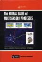 The Neural Bases Of Multisensory Processes - Preview
