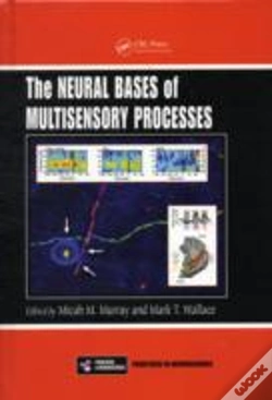 Capa do artigo The Neural Bases Of Multisensory Processes