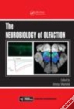 Capa do artigo The Neurobiology Of Olfaction