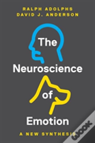 The Neuroscience Of Emotion