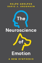 The Neuroscience Of Emotion - Preview