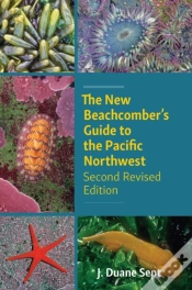 Capa do artigo The New Beachcomber