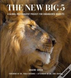 The New Big Five