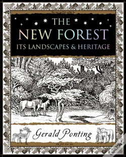 Capa do artigo The New Forest