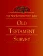 The New Interpreter'S Bible - Preview