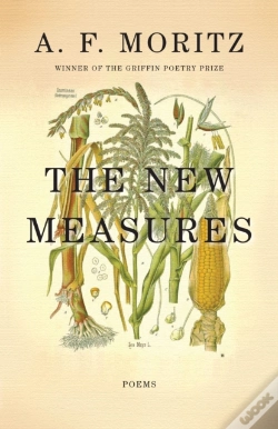 Capa do artigo The New Measures
