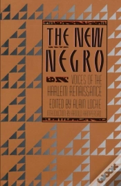 Capa do artigo The New Negro