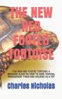 The New Red Footed Tortoise - Preview