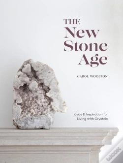 Capa do artigo The New Stone Age