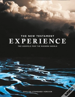 Capa do artigo The New Testament Experience