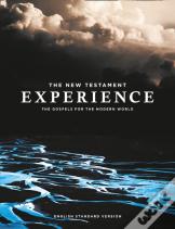 The New Testament Experience
