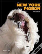 Capa do artigo The New York Pigeon