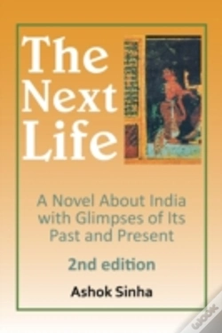 Capa do artigo The Next Life: A Novel About India With