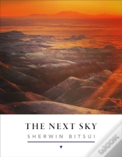 Capa do artigo The Next Sky