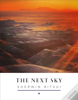Capa do artigo The Next Sky