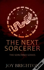 Capa do artigo The Next Sorcerer