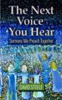 The Next Voice You Hear - Preview
