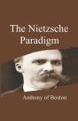 The Nietzsche Paradigm - Preview