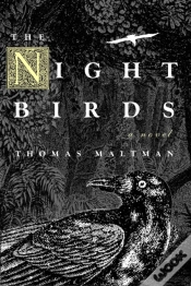 Capa do artigo The Night Birds