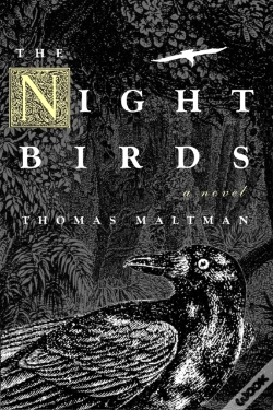 Capa do artigo The Night Birds