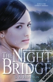 The Night Bridge