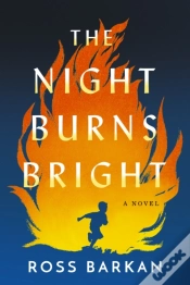 Capa do artigo The Night Burns Bright