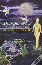 The Night Fountain