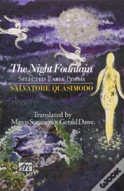 Capa do artigo The Night Fountain