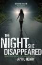 The Night She Disappeared - Preview