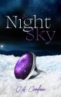 The Night Sky - Preview