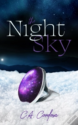 Capa do artigo The Night Sky
