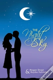 Capa do artigo The Night Sky